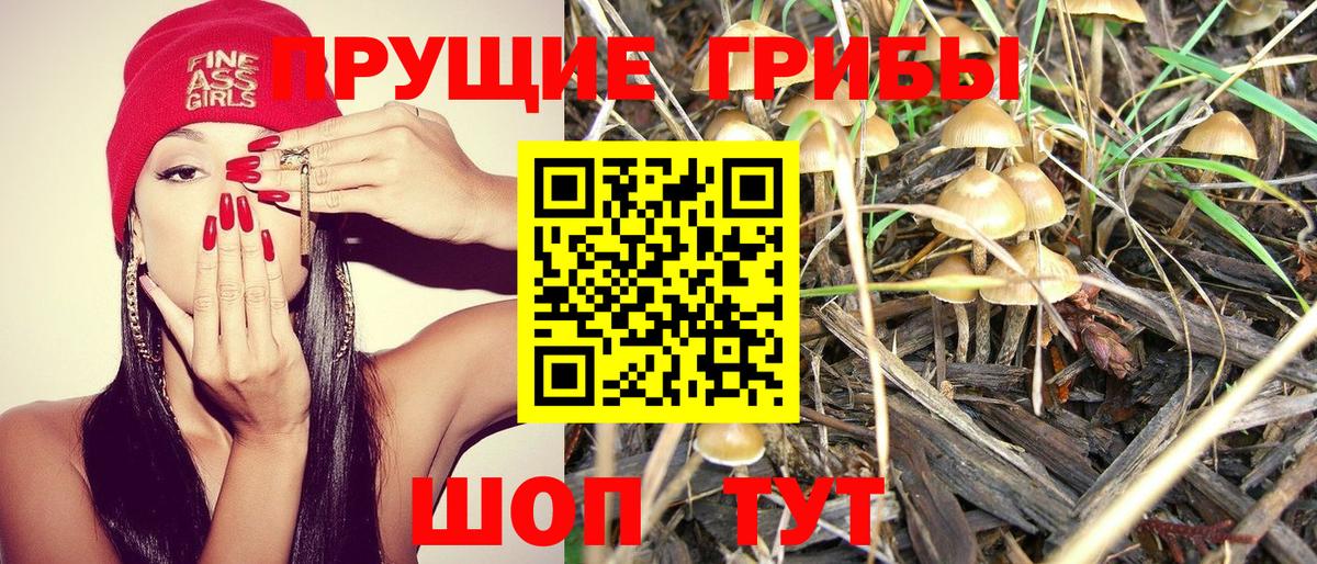 Галлюциногенные грибы прущие грибы Балаково
