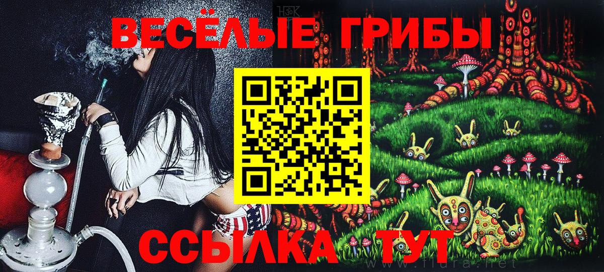Галлюциногенные грибы прущие грибы  Псилоцибиновые грибы Magic Shrooms  Балаково  Вход с VPN 